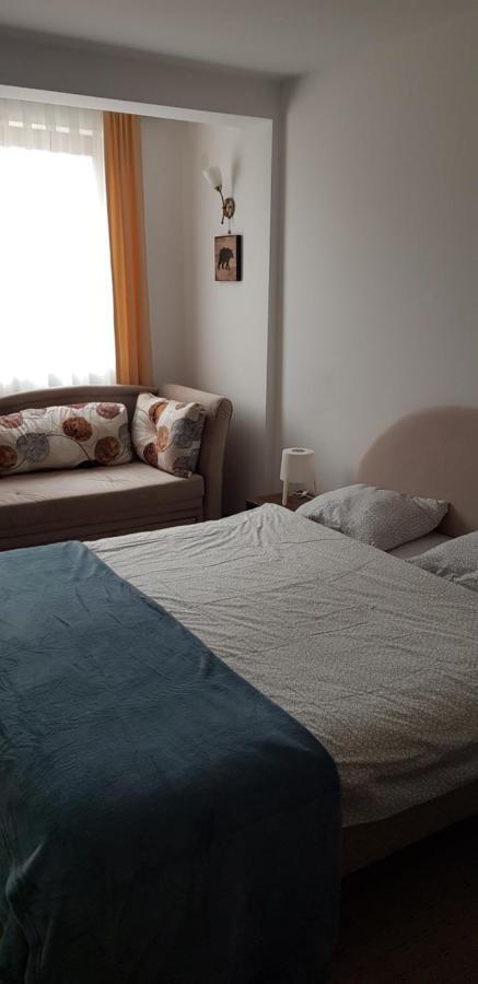 Dobricin Konak, Apartman 202 Kopaonik Ngoại thất bức ảnh