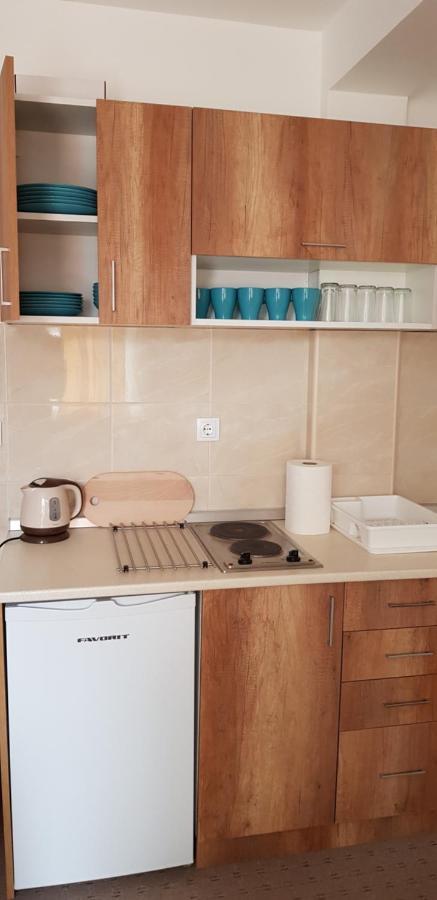 Dobricin Konak, Apartman 202 Kopaonik Ngoại thất bức ảnh