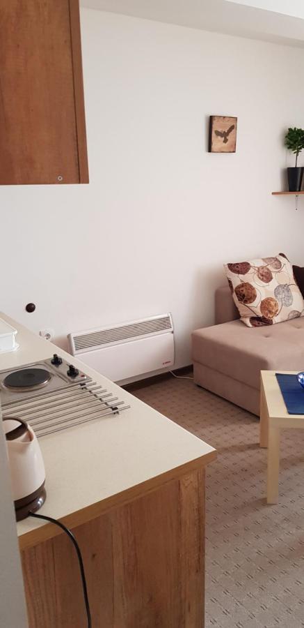 Dobricin Konak, Apartman 202 Kopaonik Ngoại thất bức ảnh